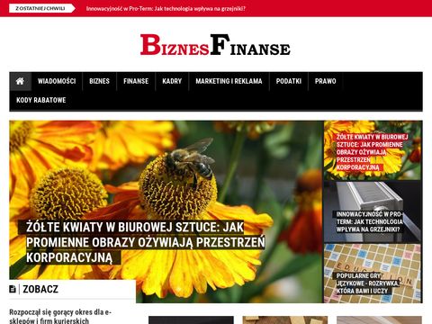 Biznesfinanse.pl serwis