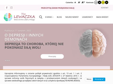 Lewaczka.pl udar mózgu wylew blog