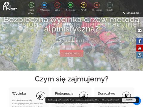 Niemalipy.wroclaw.pl - wycinka i pielęgnacja drzew