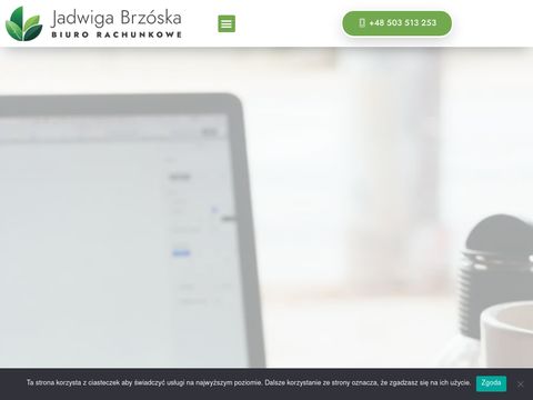 Biurobrzoska.pl księga przychodów Olsztyn