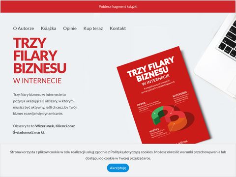 Trzyfilarybiznesu.pl strategia marketingowa