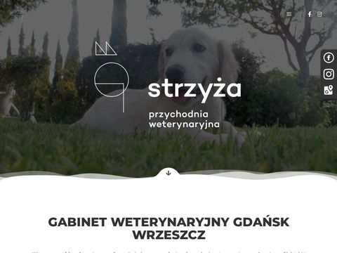 Przychodniastrzyza.pl - weterynaryjna Gdańsk
