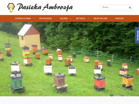 Pasiekaambrozja.pl - miód pszczeli