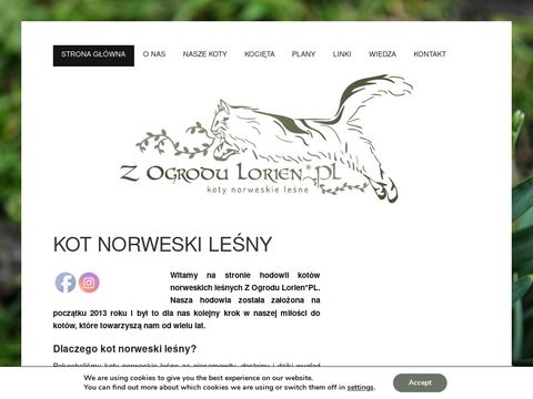 Z-ogrodu-lorien.pl hodowla kotów norweskich