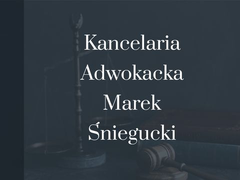 M. Śniegucki - prawo procesowe