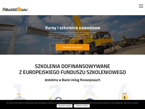 Zawodowy.eu - kurs na wózki widłowe Opole