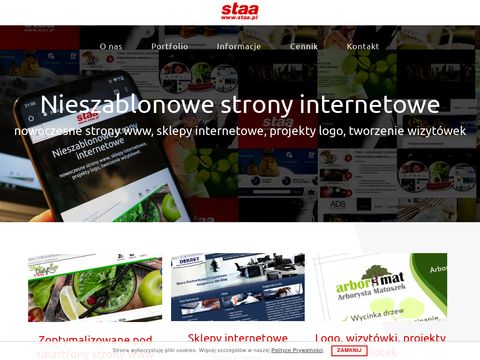 Staa.pl strony www, flash, html, cms