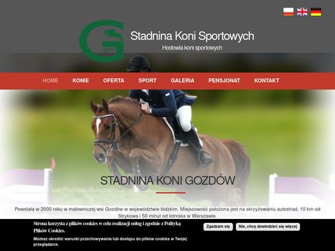 Skgozdow.pl - konie sportowe sprzedaż