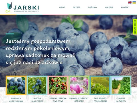 Zielonykrzaczek.pl - sadzonki drzewa owocowe