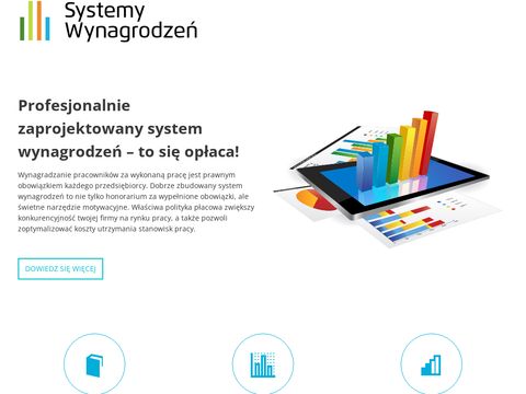 Systemywynagrodzen.com.pl