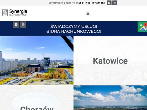 Synergianieruchomosci.com.pl