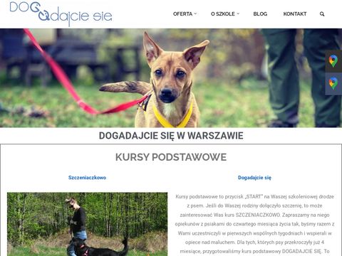 Dogadajciesie.pl szkolenie psów Warszawa