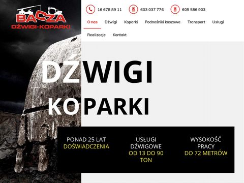 Dzwigikoparki-przemysl.pl