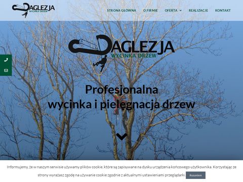 Daglezja-wycinkadrzew.pl - wycinka drzew Żywiec