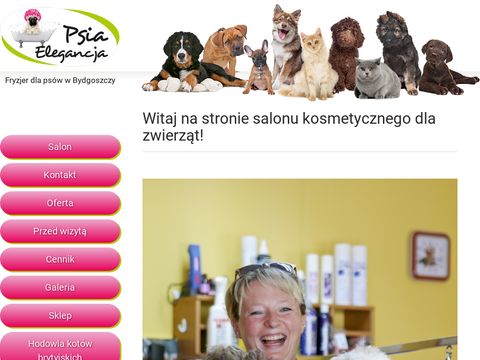 Psia Elegancja - pielęgnacja psów Bydgoszcz