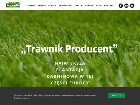 Trawnikproducent.pl