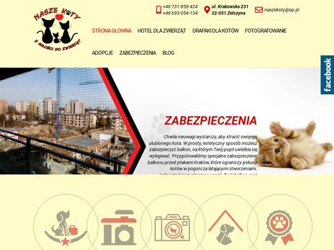 Nasze Koty - hotel dla zwierząt Kraków