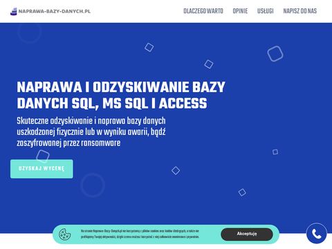 Naprawa-bazy-danych.pl